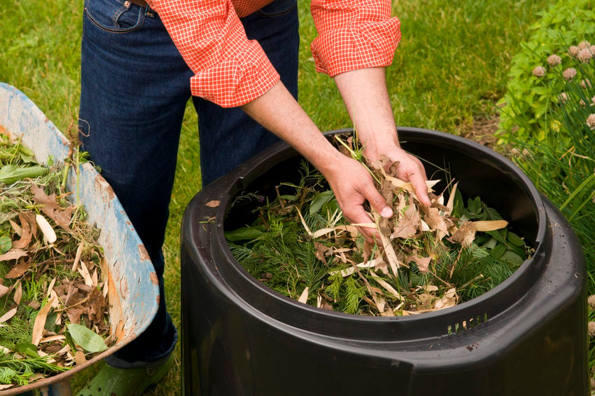Top Tips for Efficient Garden Waste Disposal