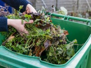 Garden Waste